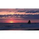 Tom and Jenny Avatar