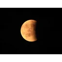 Carolina Bravo Avatar